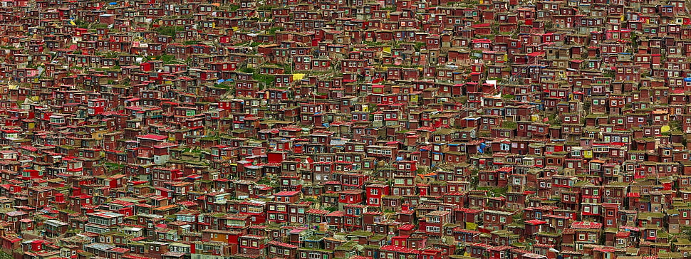 red and green village, landscape, house, monastery, Tibet HD wallpaper