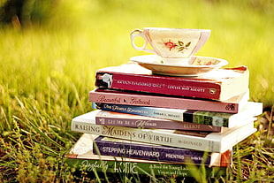 white, red, and green floral ceramic tea cup on top of books on green grass field