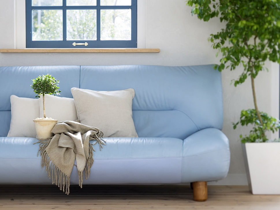 white throw pillows on blue leather couch HD wallpaper