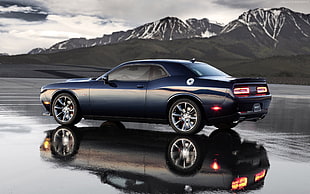 black Dodge Challenger on road under gray sky during daytime HD wallpaper