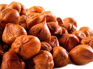 brown nuts HD wallpaper