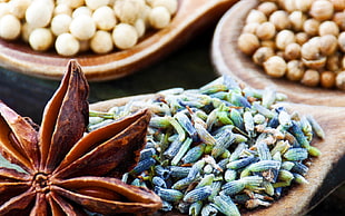 blue-and-green grains on wooden tray