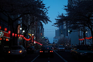 gray vehicle, street, night, lights, car