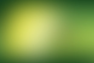 green, gradient HD wallpaper