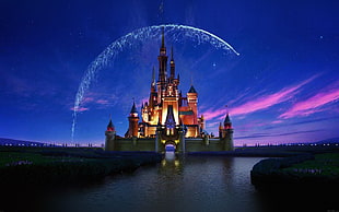 Disney Castle illustration