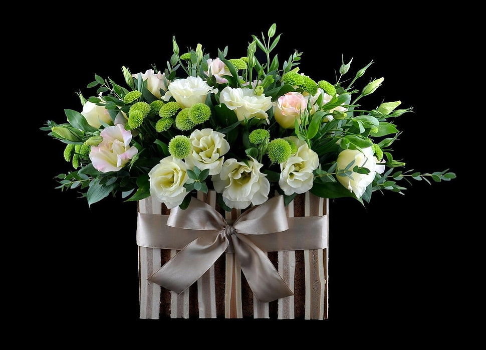 white roses with gray gift box HD wallpaper