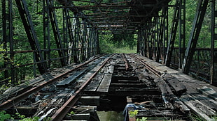 macro photography of wrecked bridge during daytime HD wallpaper