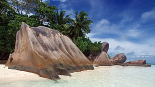 rock formation, beach, tropical, rock, palm trees HD wallpaper