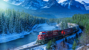 photo of red train HD wallpaper
