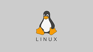 Linux logo, Linux, minimalism, FoxyRiot, Tux HD wallpaper