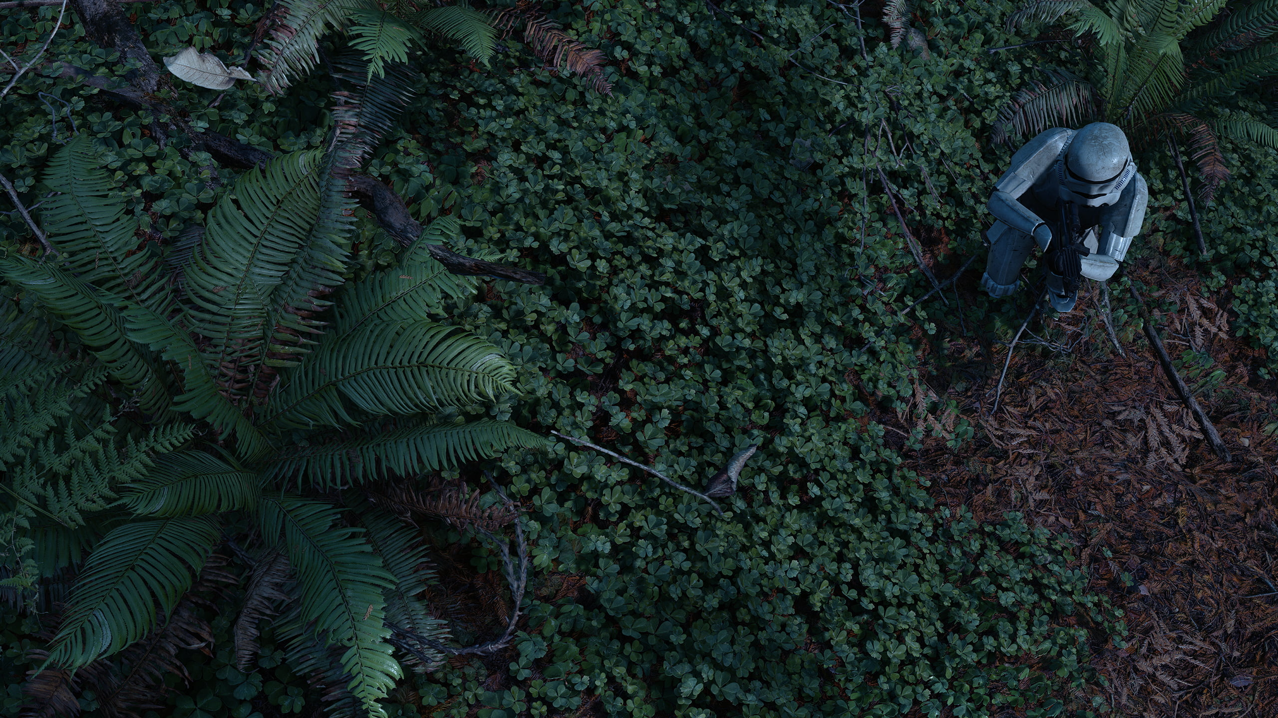 person sitting beside fern plant