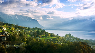 city houses surrounded by trees under white and blue cloudy sky, lake geneva