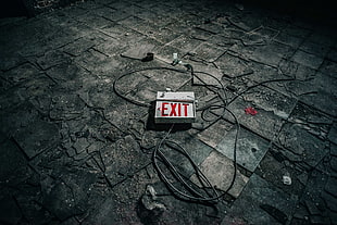 white and red Exit neon sign HD wallpaper