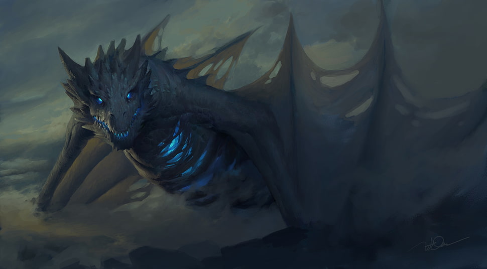 gray and blue dragon online game digital wallpaper HD wallpaper