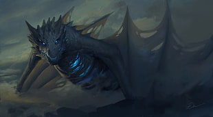 gray and blue dragon online game digital wallpaper