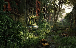 abandoned cars and buildings at daytime, forest, nature, Crysis 3, overgrown HD wallpaper