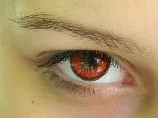 person's eye, red eyes, Ida A, people