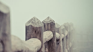 gray wooden fence, wall, mist, wood, fence