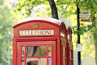 photo of red Telephone telephone booth near green trees HD wallpaper