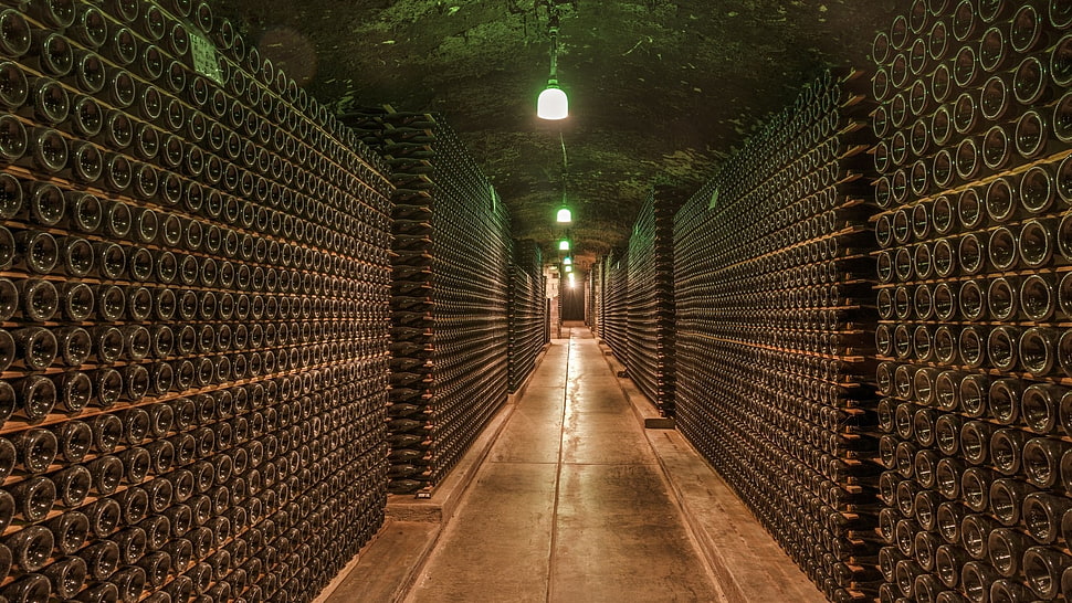 white light bulb, wine, cellars, bottles, lights HD wallpaper