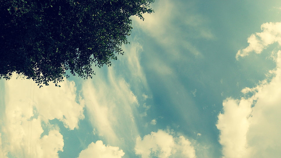 white and blue abstract painting, sky, trees, clouds HD wallpaper