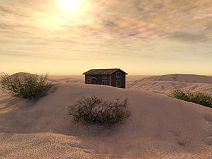 wooden house in the middle of desert land