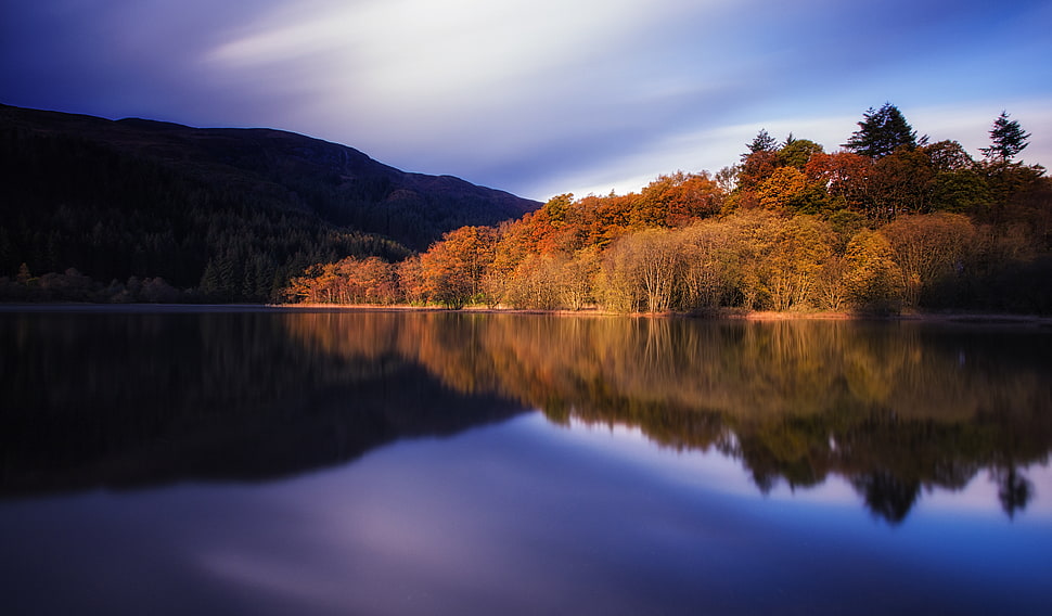 body of water near the trees reflective photography HD wallpaper