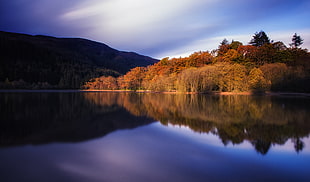 body of water near the trees reflective photography