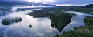 aerial photo of green trees beside body of water at daytime