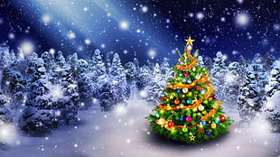 lighted Christmas tree HD wallpaper
