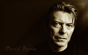 David Bowie, David Bowie, musician, monochrome, looking at viewer