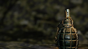 depth of field photo of grenade