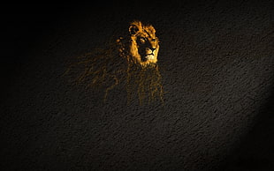 brown lion illustration, artwork, lion