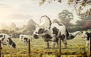 white and black dinosaur, Abduzeedo, cow, dinosaurs, Triceratops HD wallpaper