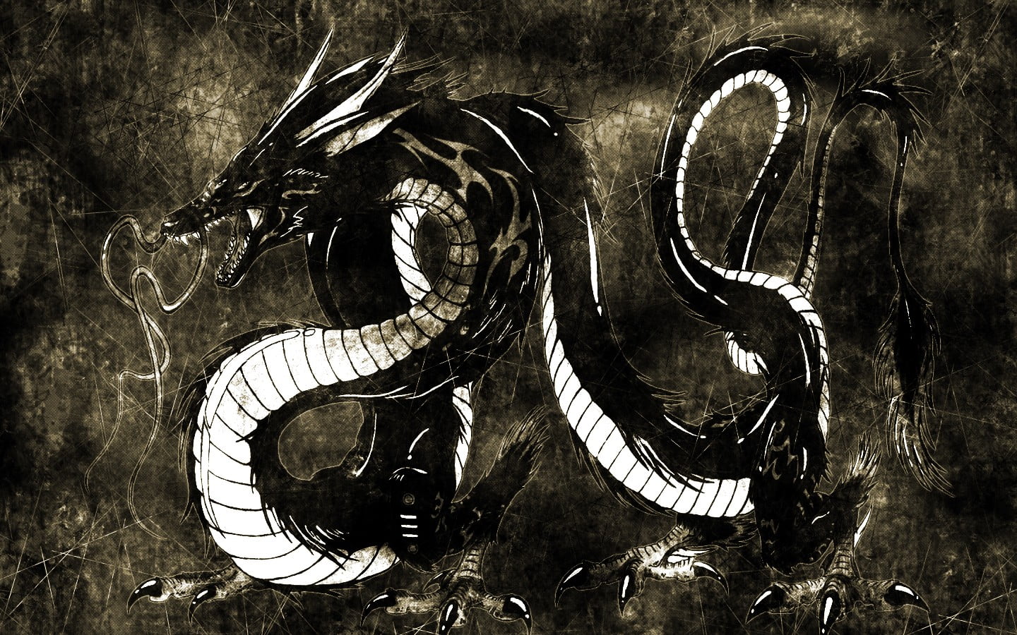 black and white dragon artwork