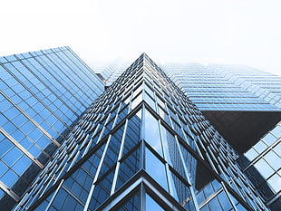 low-angle photography of blue glass building HD wallpaper