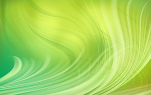 green and white painting