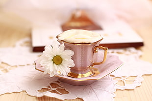 brown and pink teapot beside white petaled flower
