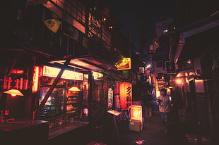 assorted lanterns and LED signage, street, urban, photography, lights