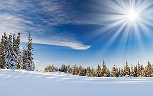Sun,  Beams,  Light,  Snow HD wallpaper