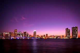 lighted city landscape portrait, city, Miami, Florida HD wallpaper