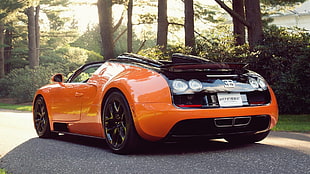 orange Bugatti luxury car, Bugatti, car, sports car HD wallpaper