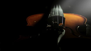 brown violin, violin, musical instrument HD wallpaper