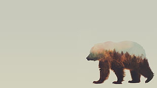 brown bear clip art, double exposure, Andreas Lie, animals HD wallpaper