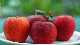 four red apple fruits, food, apples, red, fruit HD wallpaper