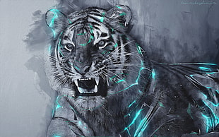 albino tiger digital wallpaper, tiger