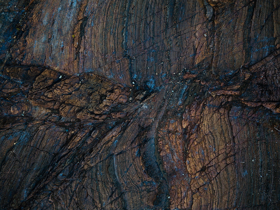 brown tree barn, Wood, Surface, Texture HD wallpaper