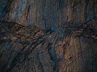 brown tree barn, Wood, Surface, Texture