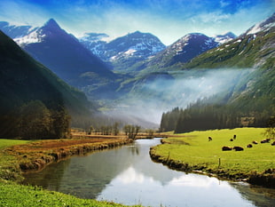snowy mountain behind the green mountains with river and grass field HD wallpaper
