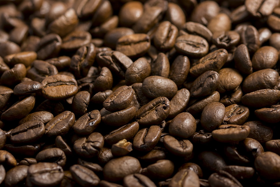 roasted coffee beans HD wallpaper
